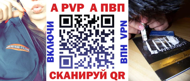 Альфа ПВП СК  Шали 