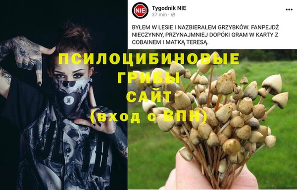 героин Абдулино