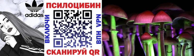 kraken как войти  Шали  Псилоцибиновые грибы GOLDEN TEACHER 