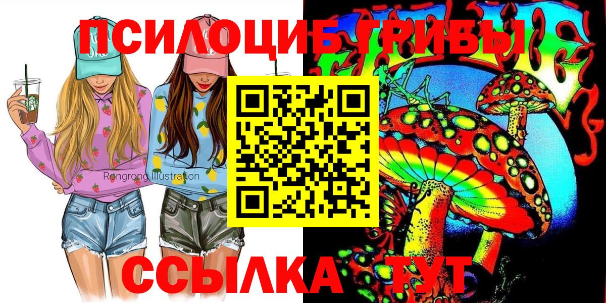Псилоцибиновые грибы Psilocybe Шали